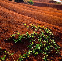 《无人深空》预热下次更新内容 或与天气系统有关